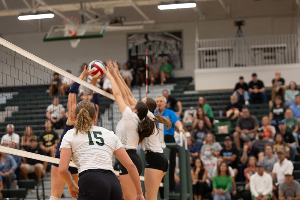 %_tempFileName1M6A4993%