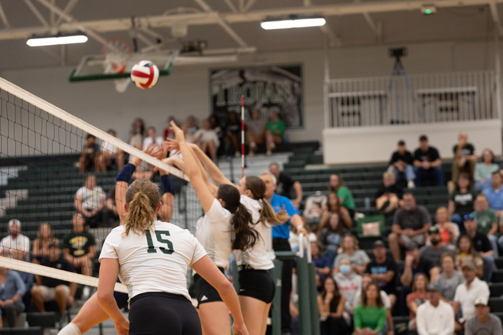 %_tempFileName1M6A4995%