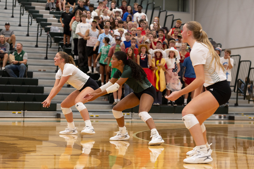 %_tempFileName1M6A5050%