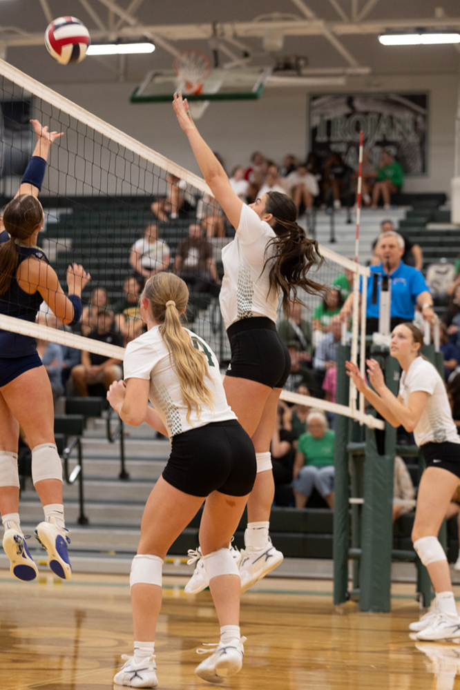 %_tempFileName1M6A5065%