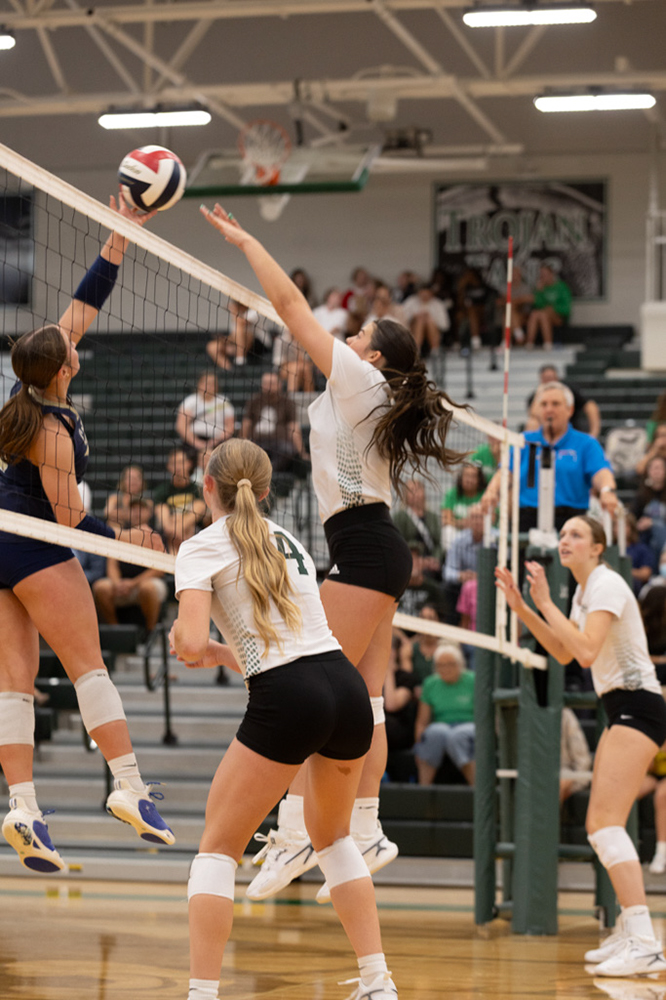 %_tempFileName1M6A5066%