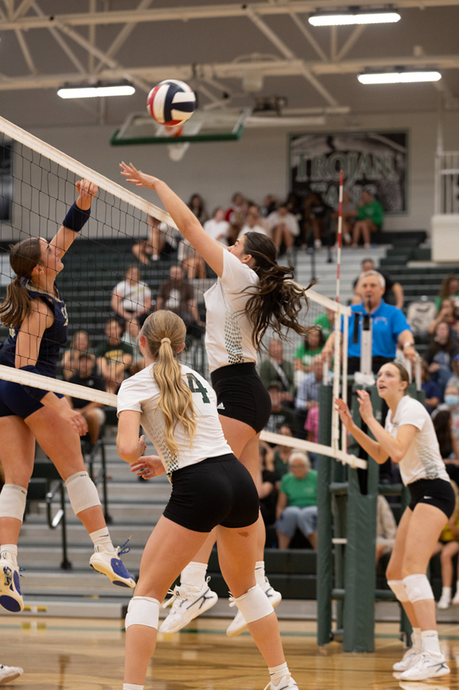 %_tempFileName1M6A5067%