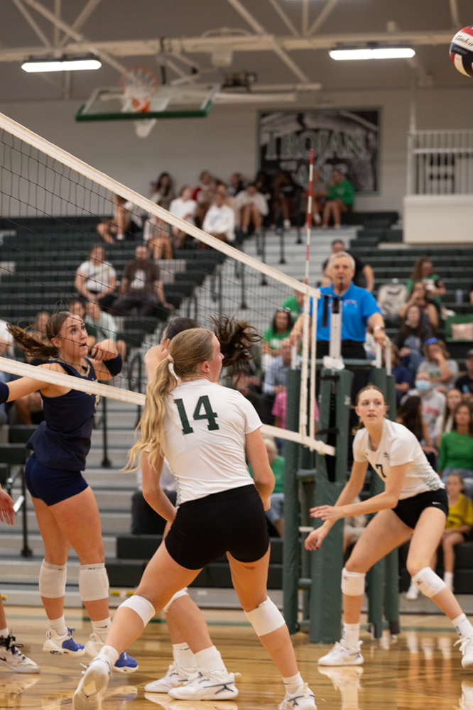 %_tempFileName1M6A5071%