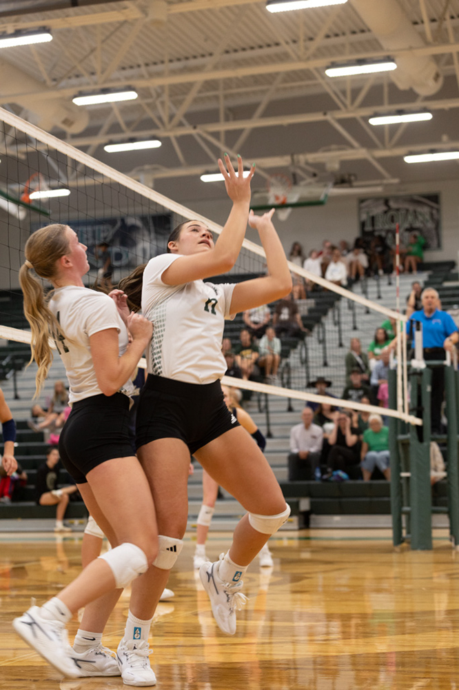 %_tempFileName1M6A5077%