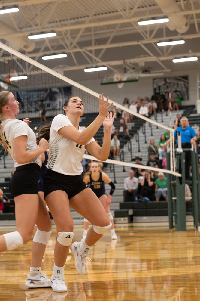 %_tempFileName1M6A5078%