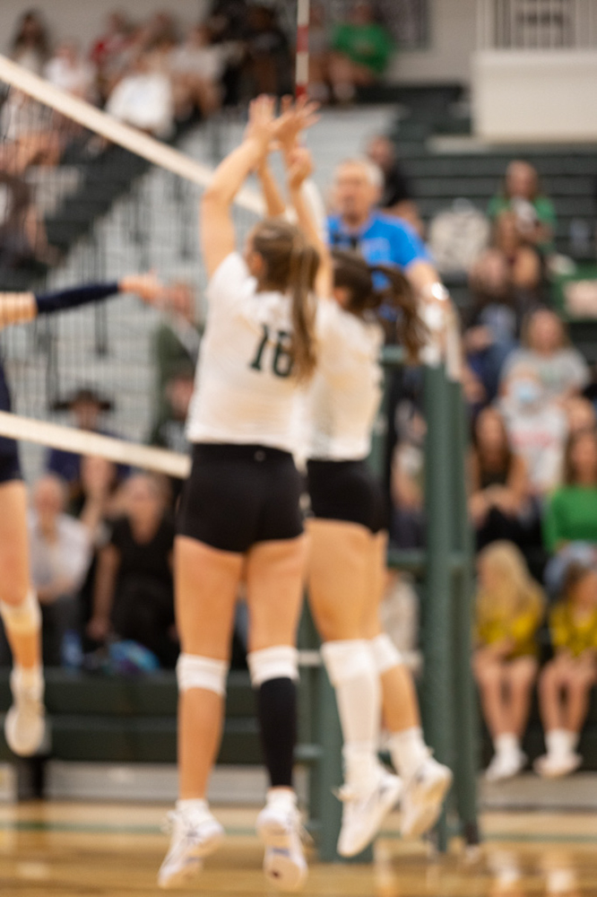 %_tempFileName1M6A5133%