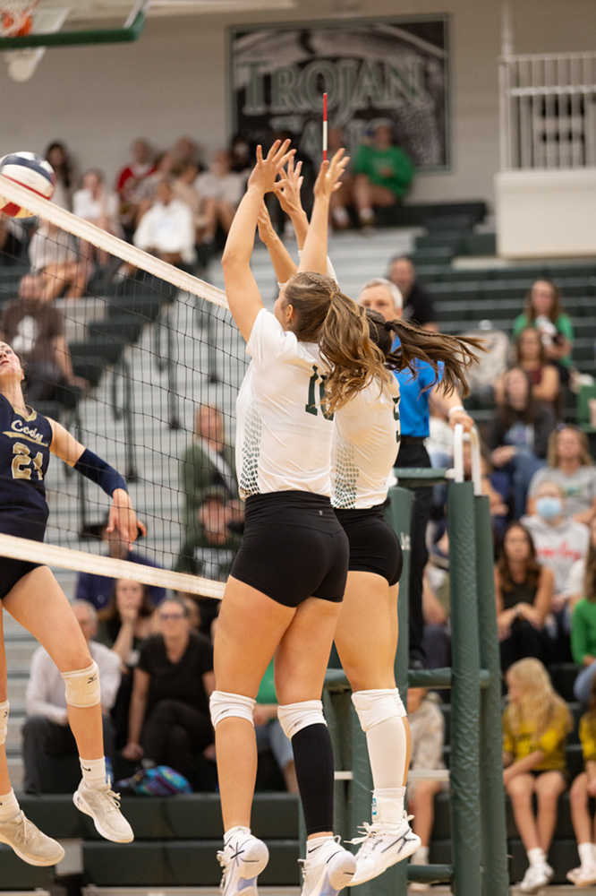 %_tempFileName1M6A5135%