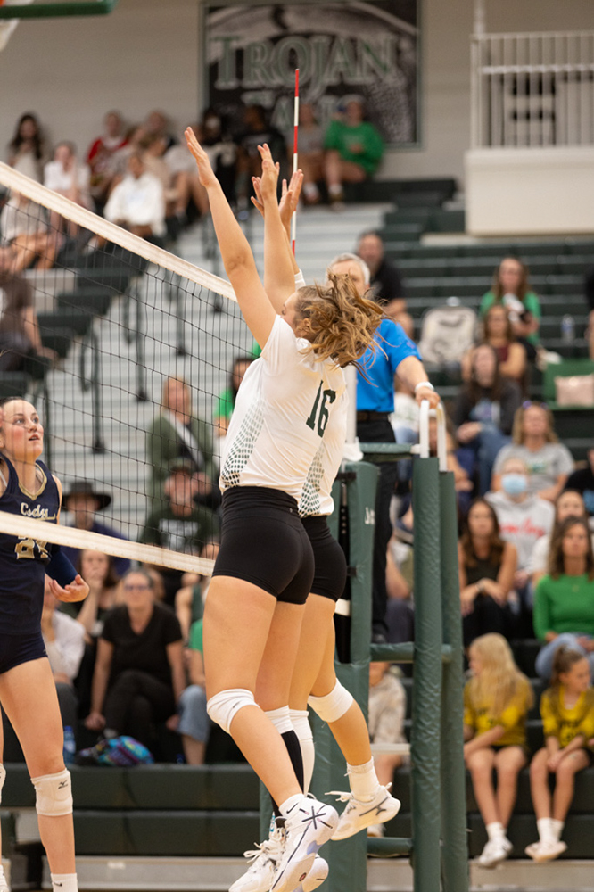 %_tempFileName1M6A5139%