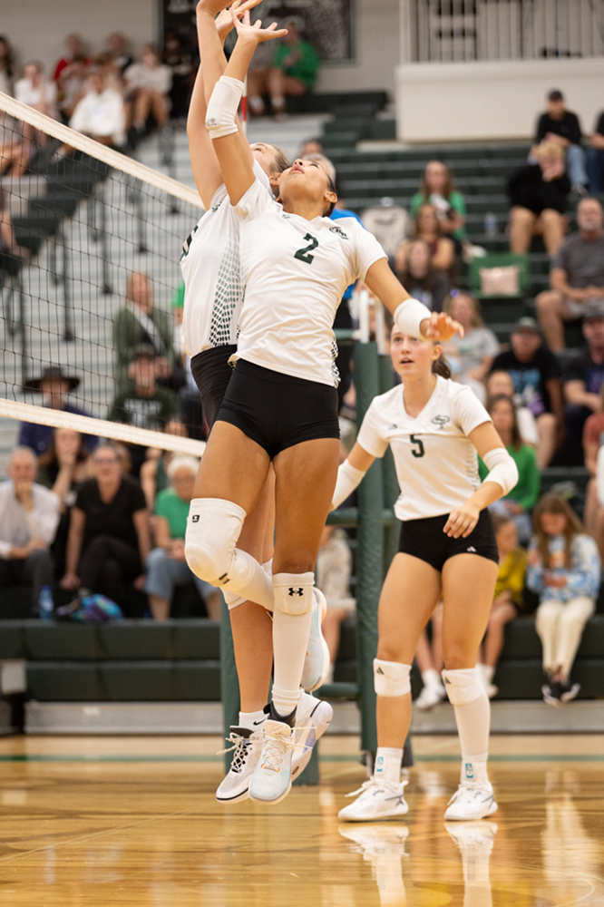 %_tempFileName1M6A5143%