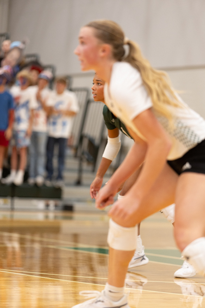 %_tempFileName1M6A5195%