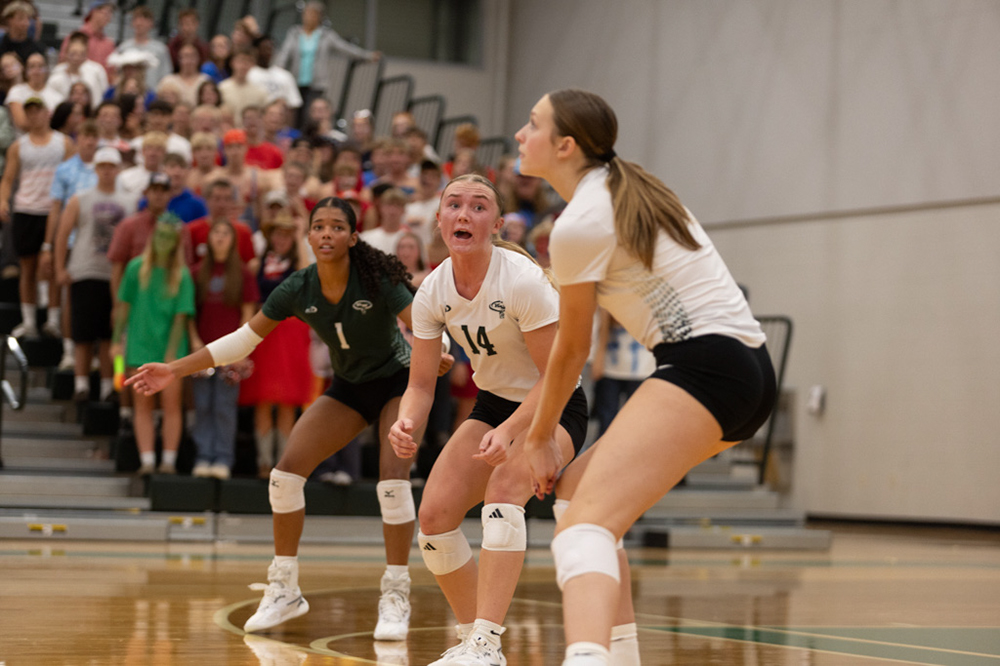 %_tempFileName1M6A5299%