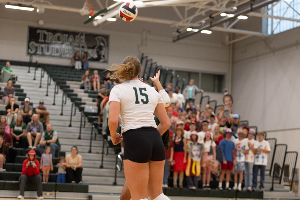 %_tempFileName1M6A5331%