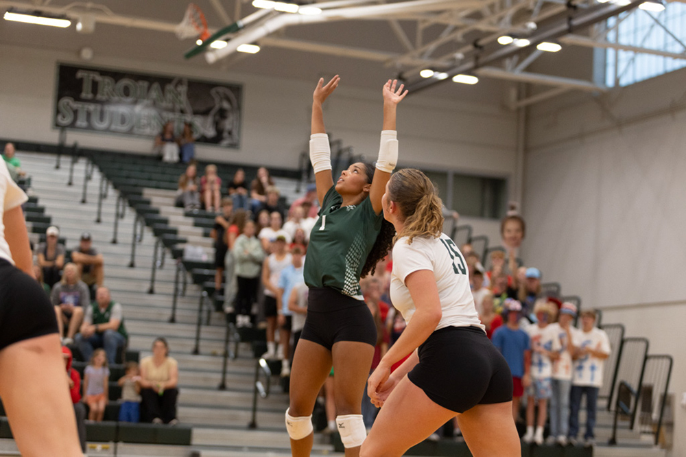 %_tempFileName1M6A5335%