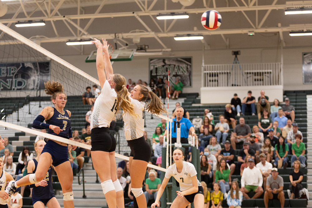 %_tempFileName1M6A5342%