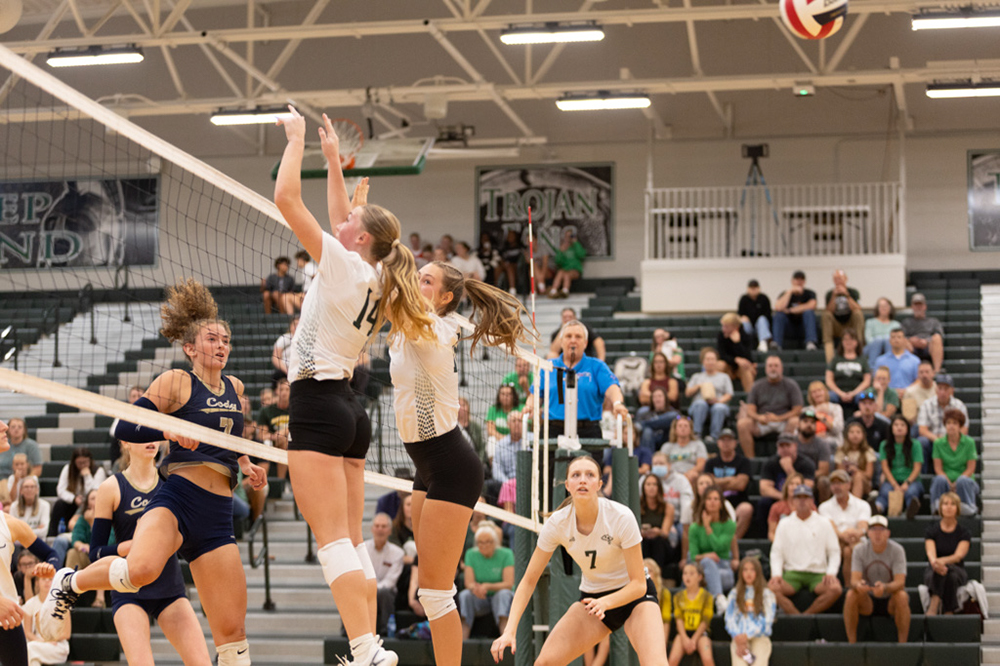 %_tempFileName1M6A5343%