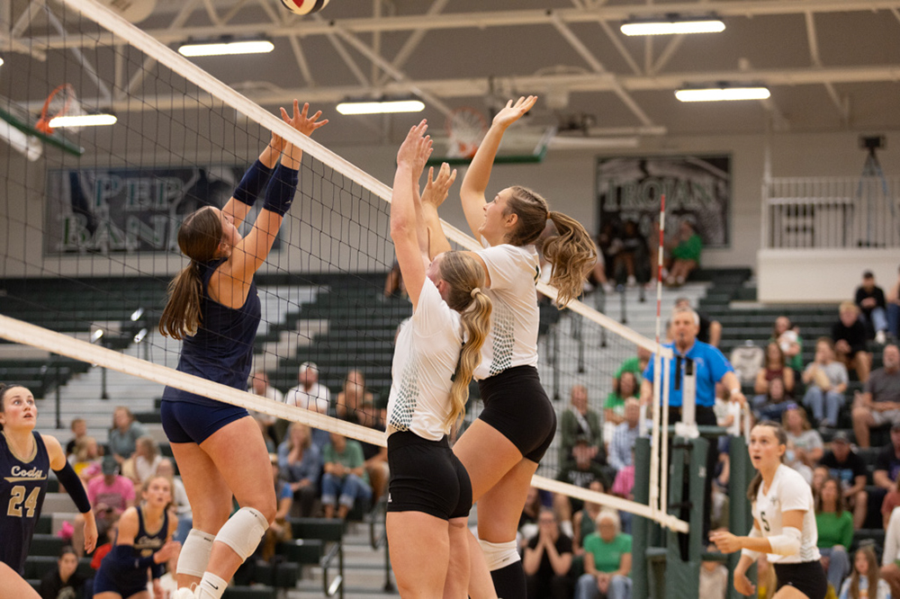 %_tempFileName1M6A5381%