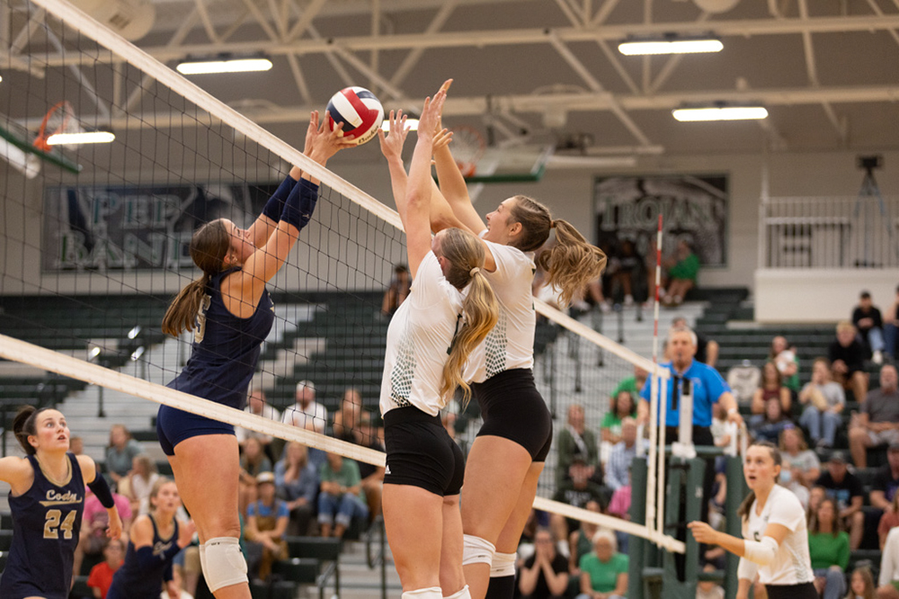 %_tempFileName1M6A5382%