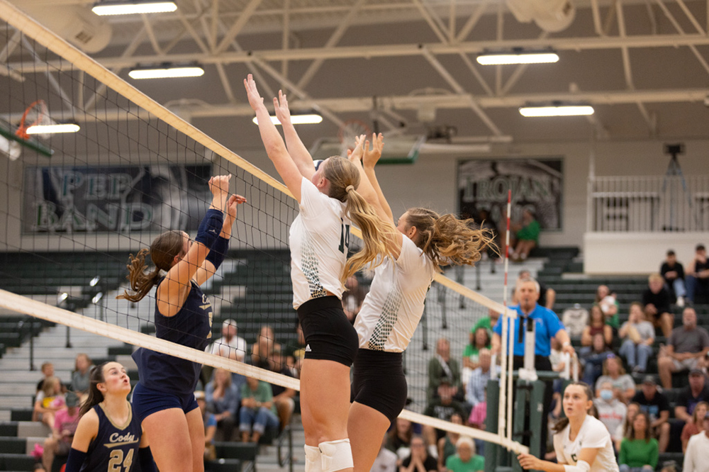 %_tempFileName1M6A5385%