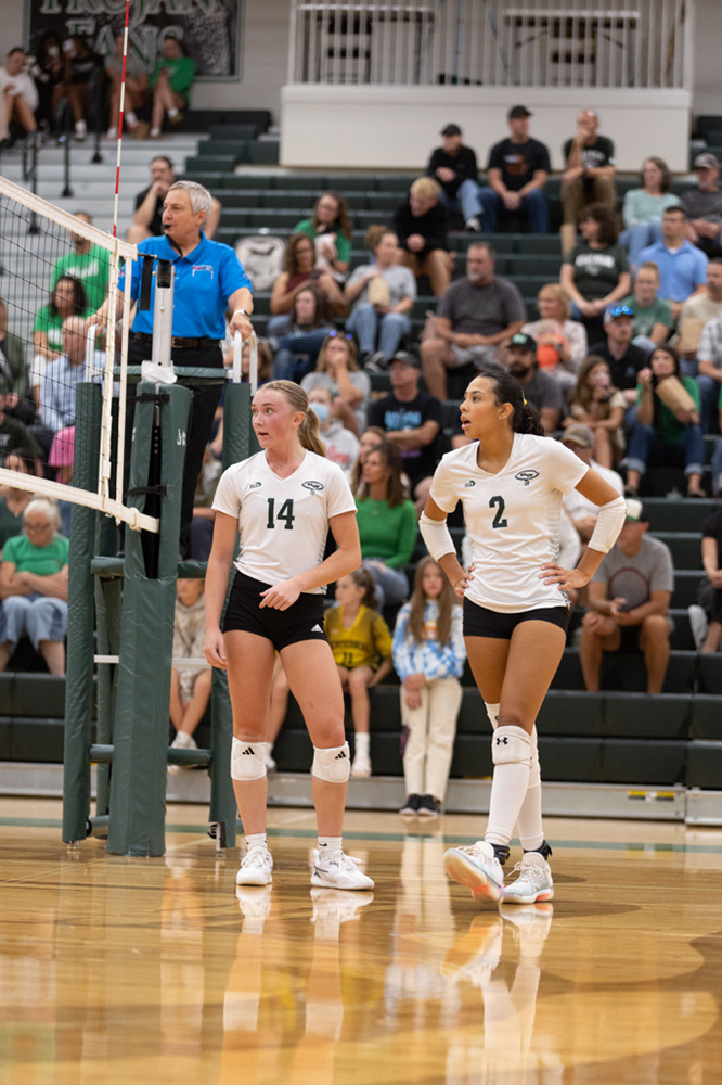 %_tempFileName1M6A5416%