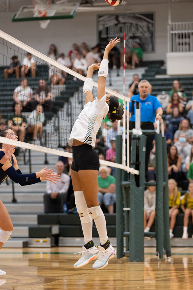 %_tempFileName1M6A5438%