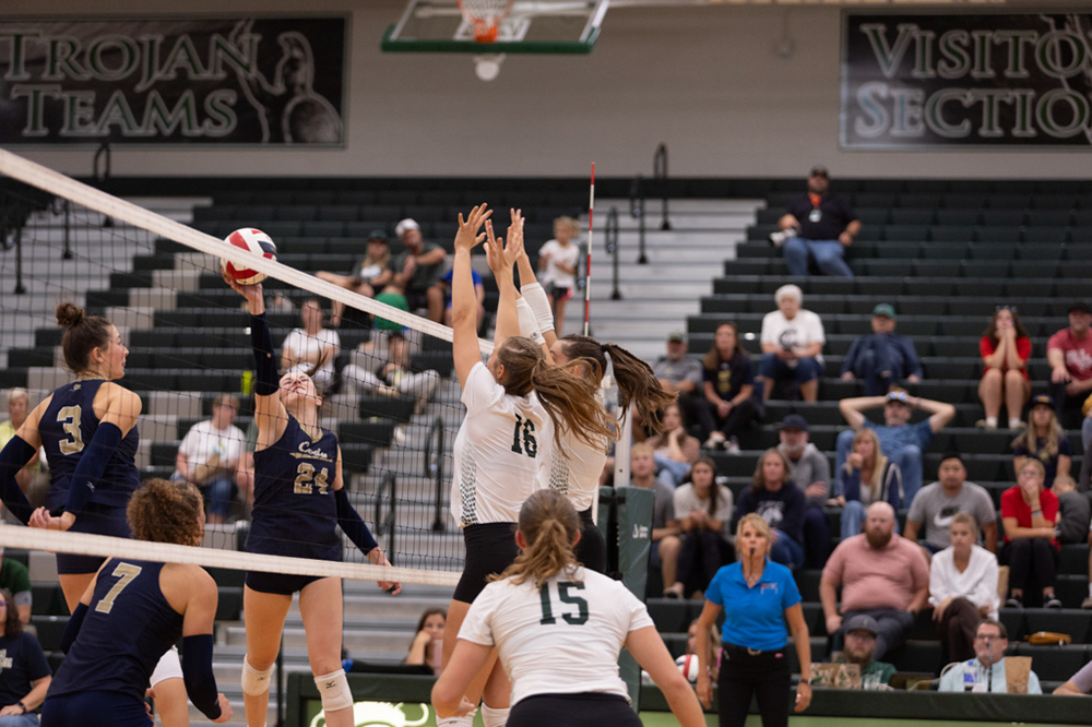 %_tempFileName1M6A5578%