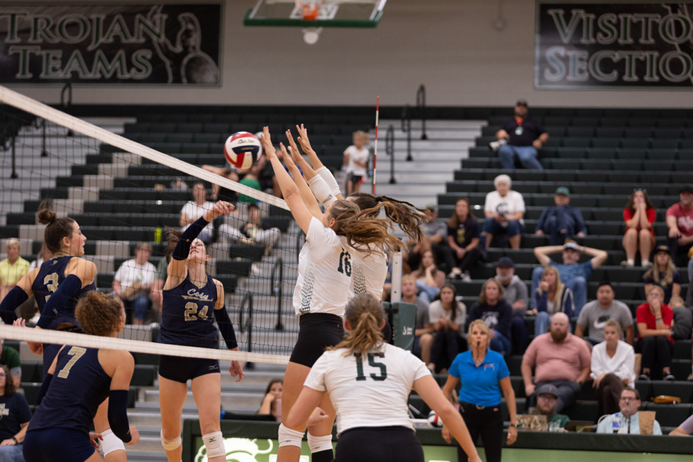 %_tempFileName1M6A5579%