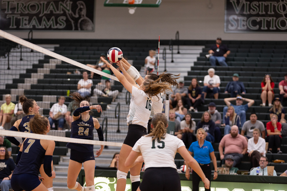 %_tempFileName1M6A5580%