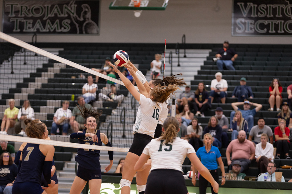 %_tempFileName1M6A5581%