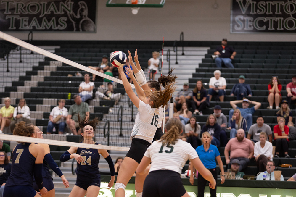 %_tempFileName1M6A5582%