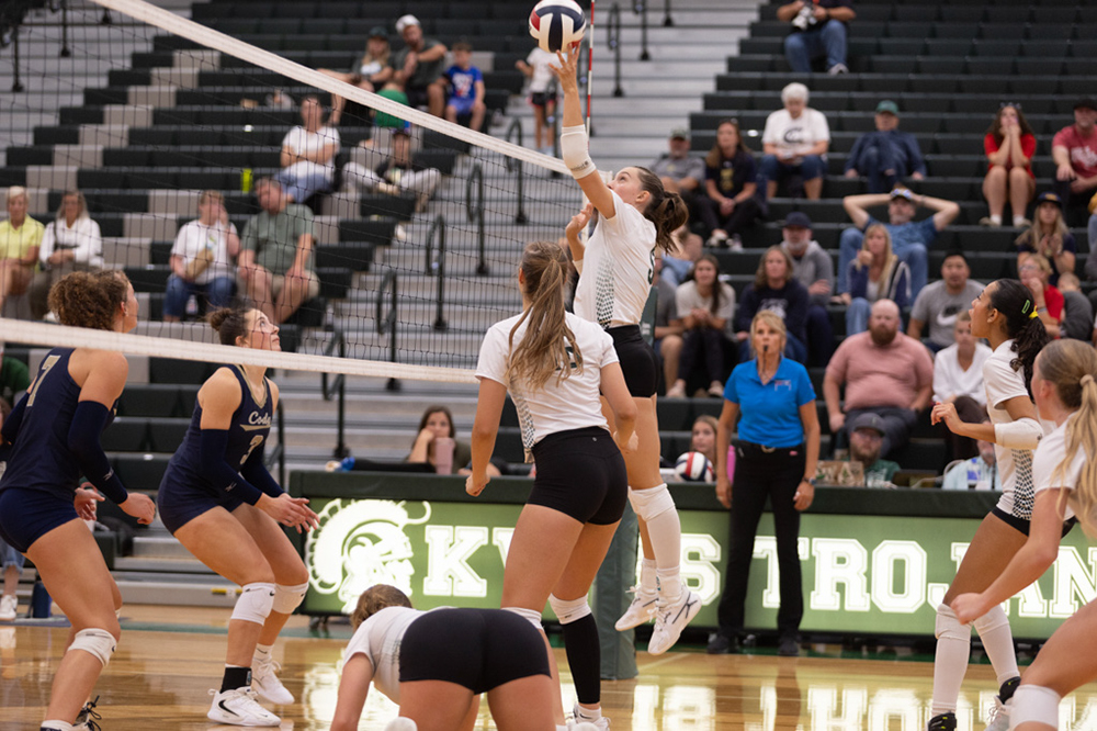 %_tempFileName1M6A5583%