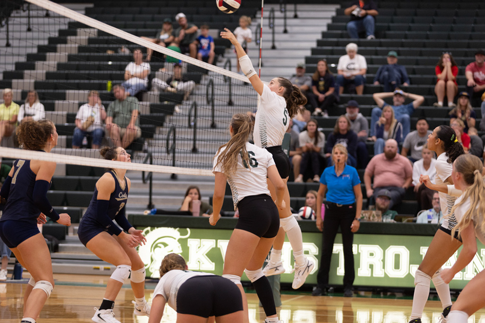 %_tempFileName1M6A5584%