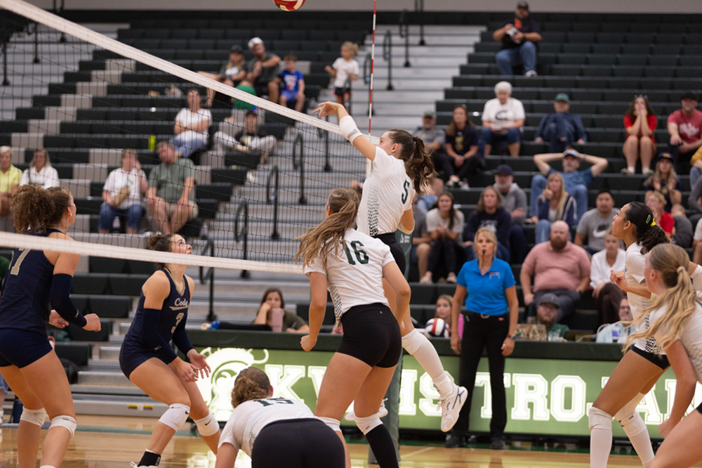 %_tempFileName1M6A5585%