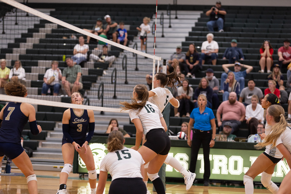 %_tempFileName1M6A5588%