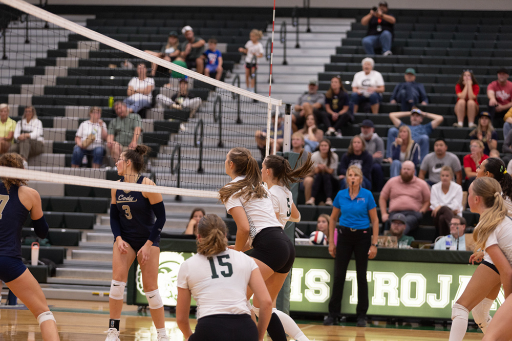 %_tempFileName1M6A5590%