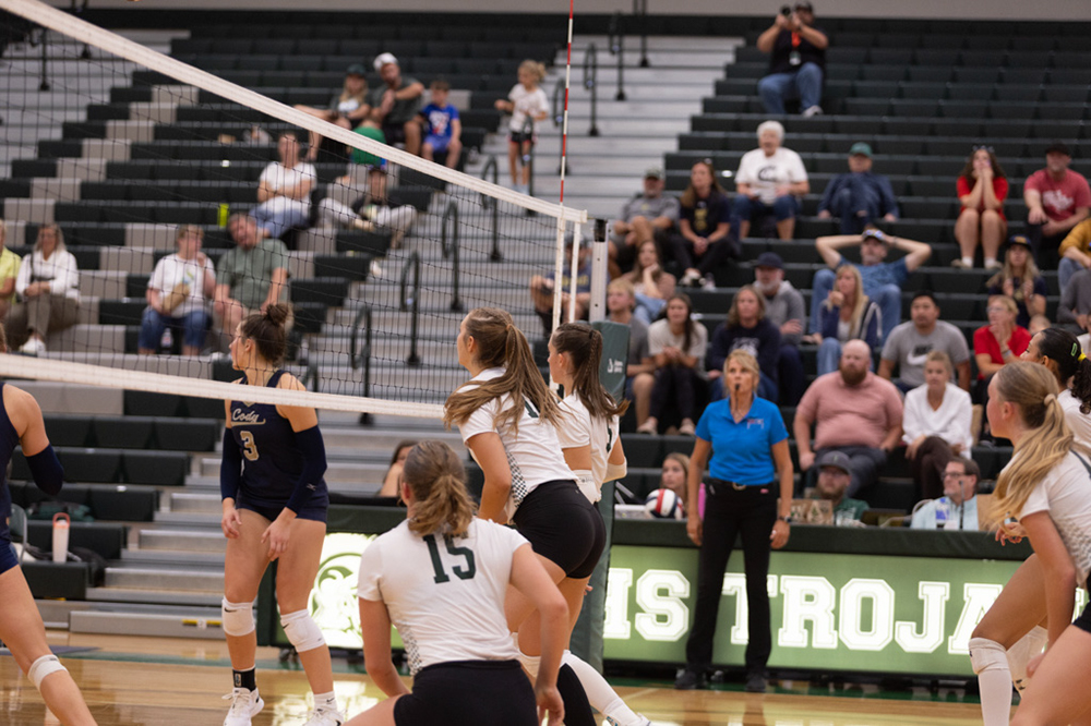 %_tempFileName1M6A5591%