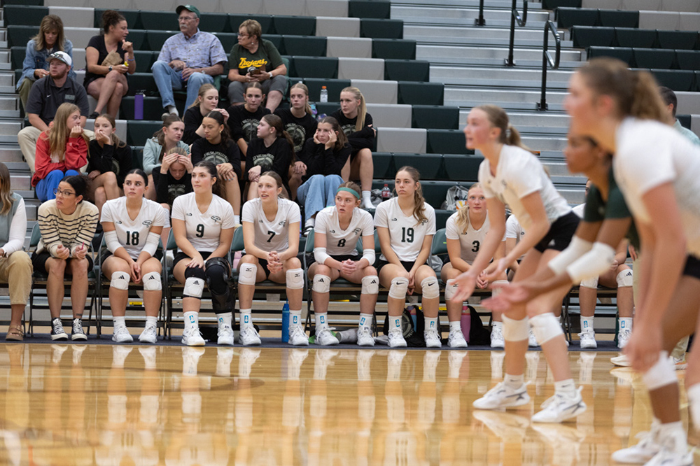 %_tempFileName1M6A5595%