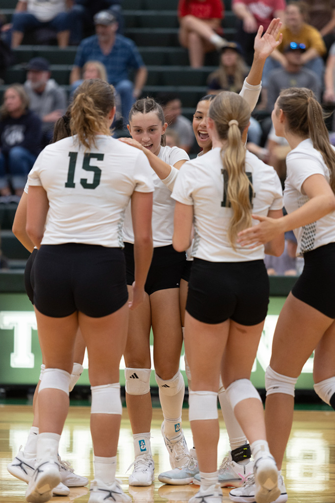 %_tempFileName1M6A5601%