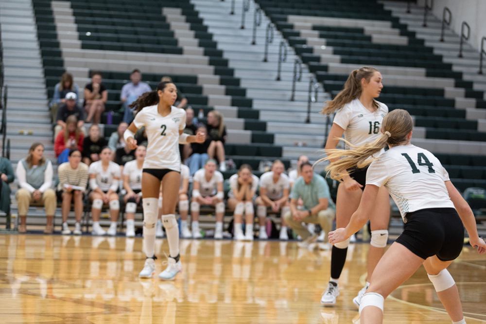 %_tempFileName1M6A5615%