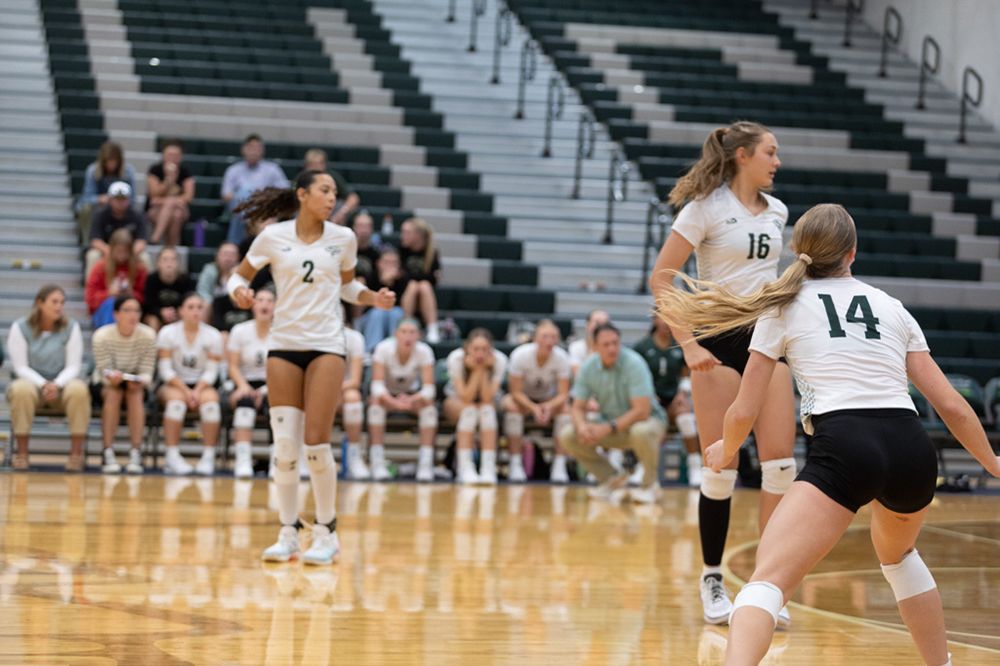 %_tempFileName1M6A5616%