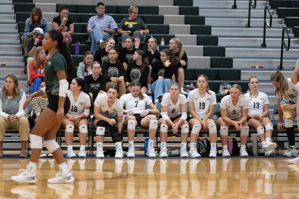 %_tempFileName1M6A5617%