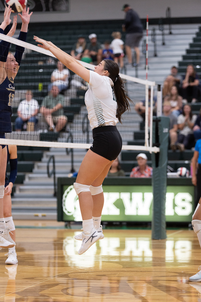 %_tempFileName1M6A5629%