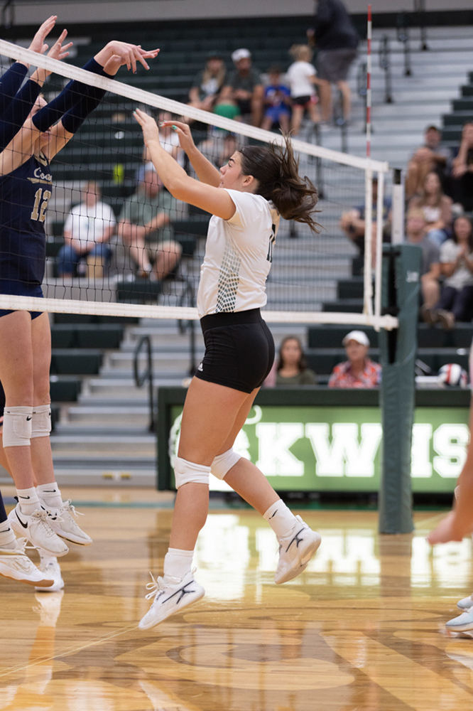 %_tempFileName1M6A5631%