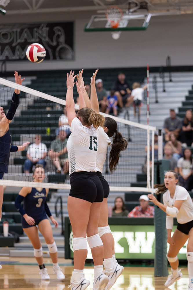 %_tempFileName1M6A5635%