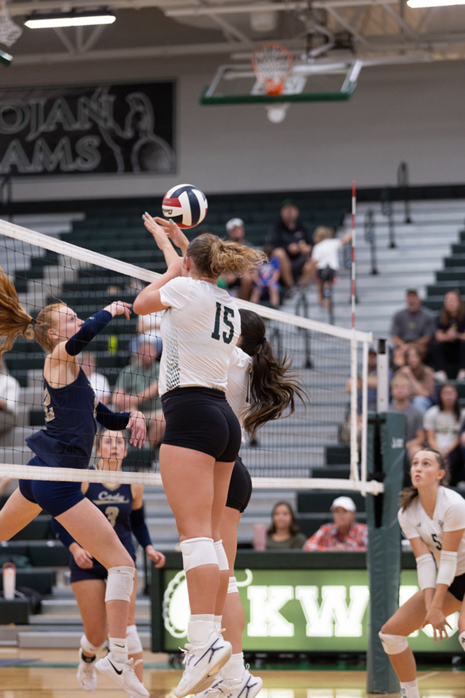 %_tempFileName1M6A5638%