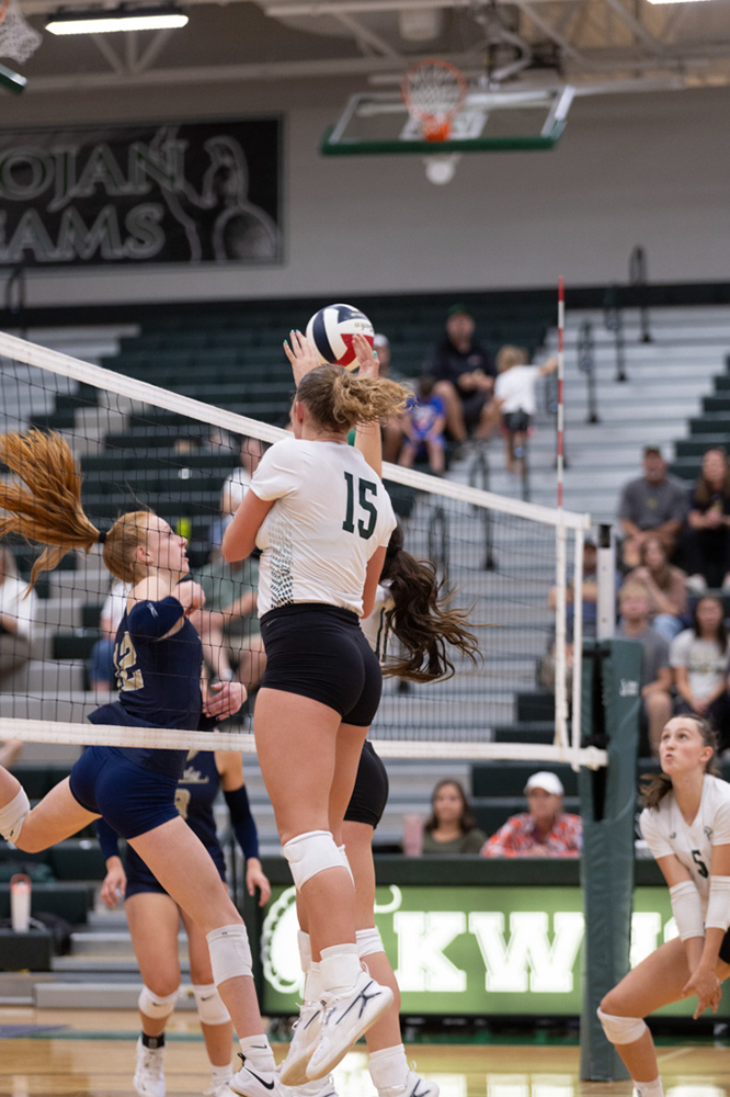 %_tempFileName1M6A5639%