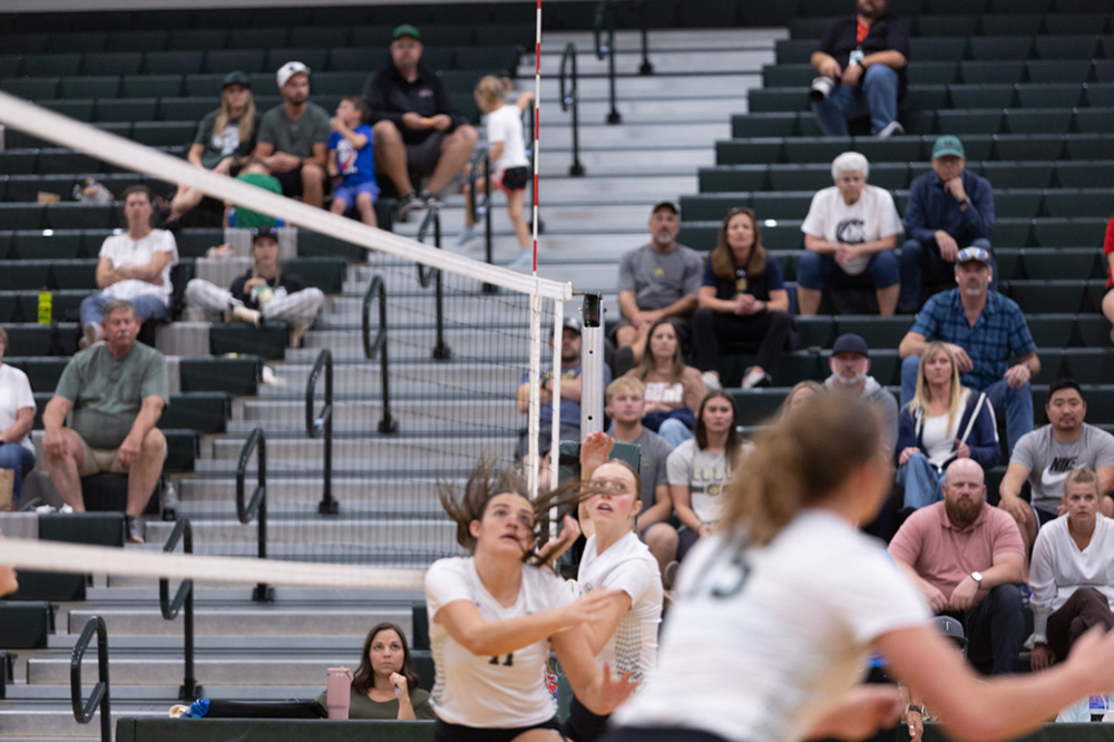 %_tempFileName1M6A5648%