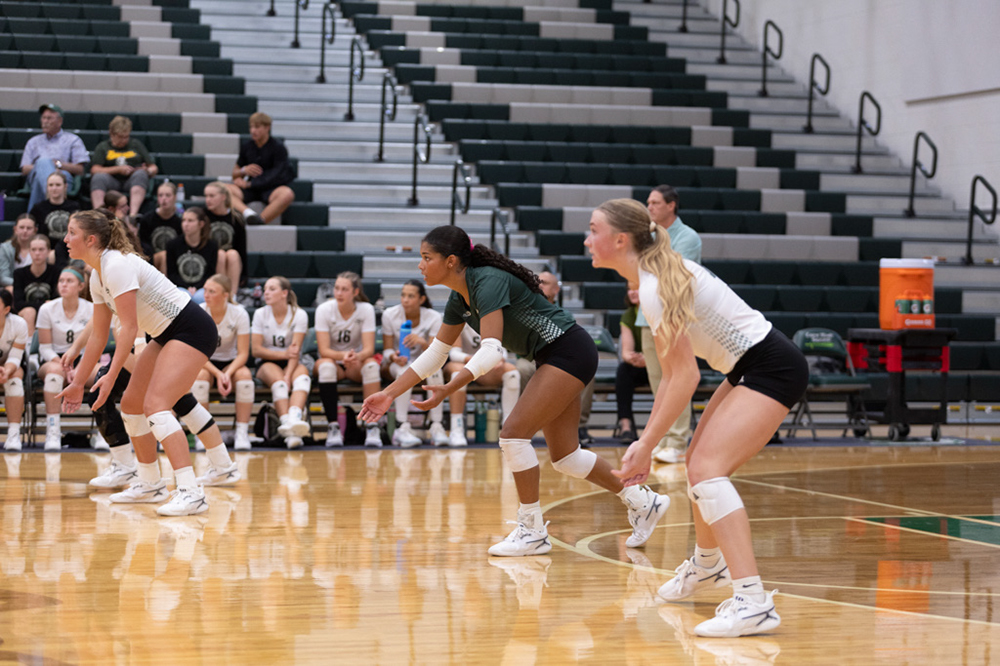 %_tempFileName1M6A5650%