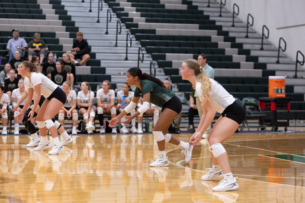 %_tempFileName1M6A5651%