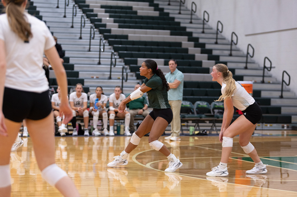 %_tempFileName1M6A5655%