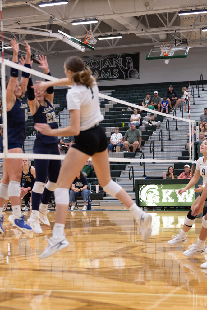 %_tempFileName1M6A5667%